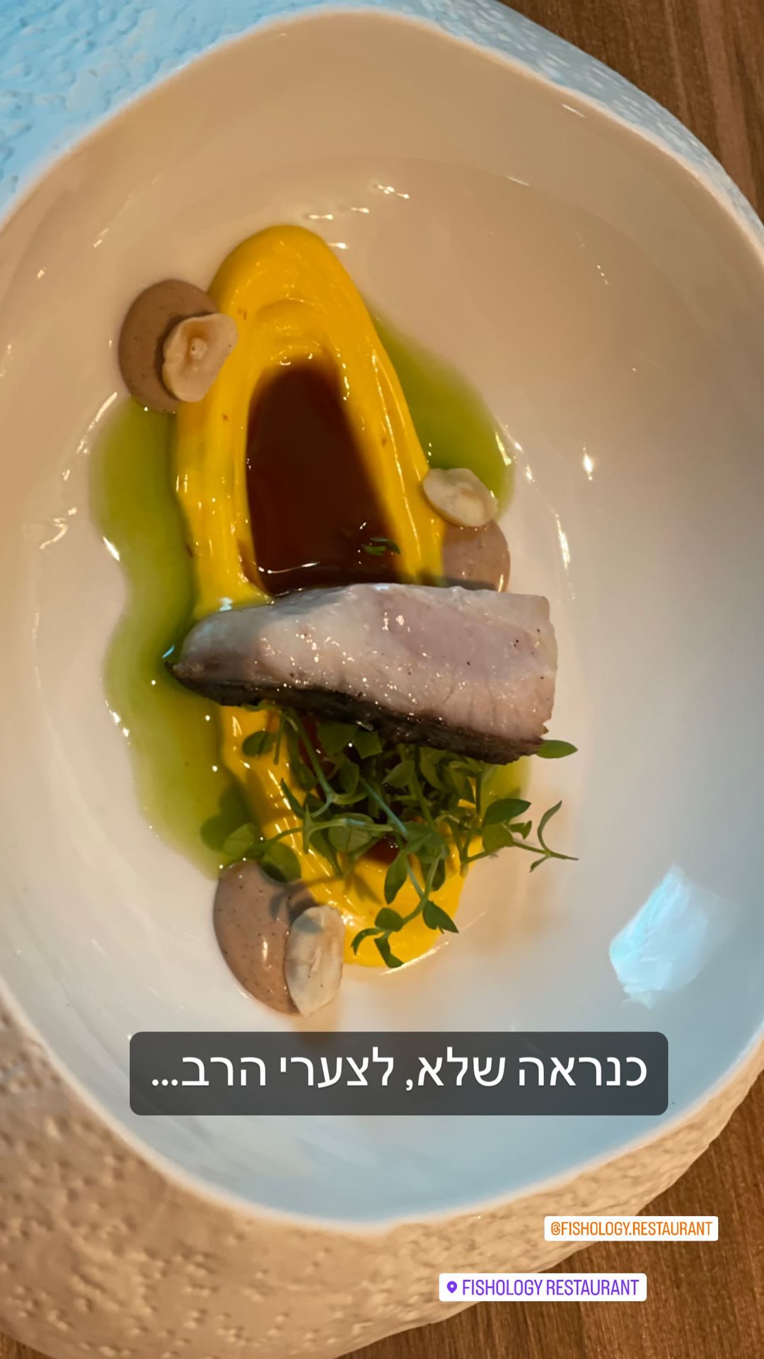 Fishology, Barcelona — fine-dining fish plate