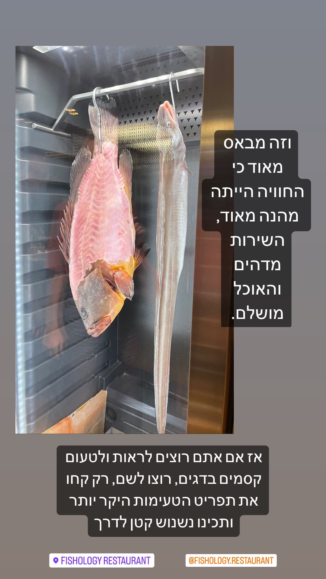 Fishology Barcelona – dry-aged fish, pricey menu