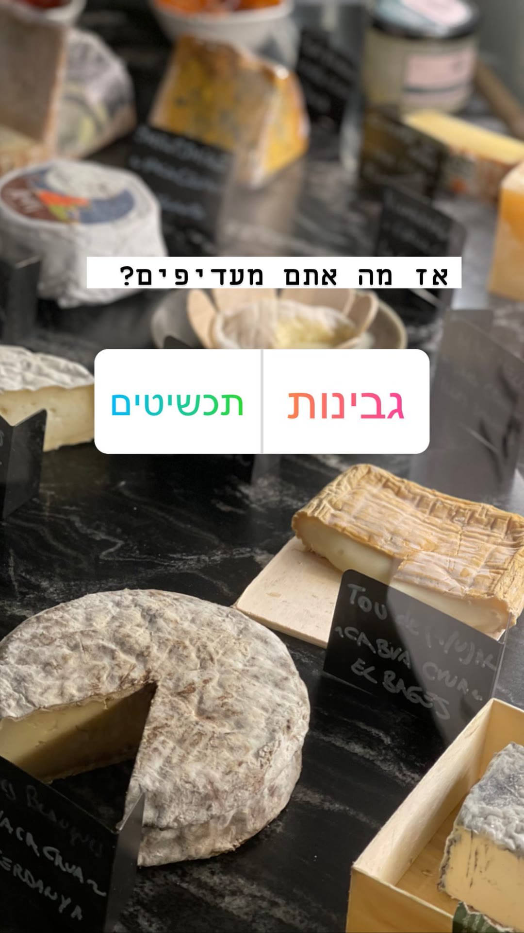 דוכן גבינות קטלאניות בברצלונה