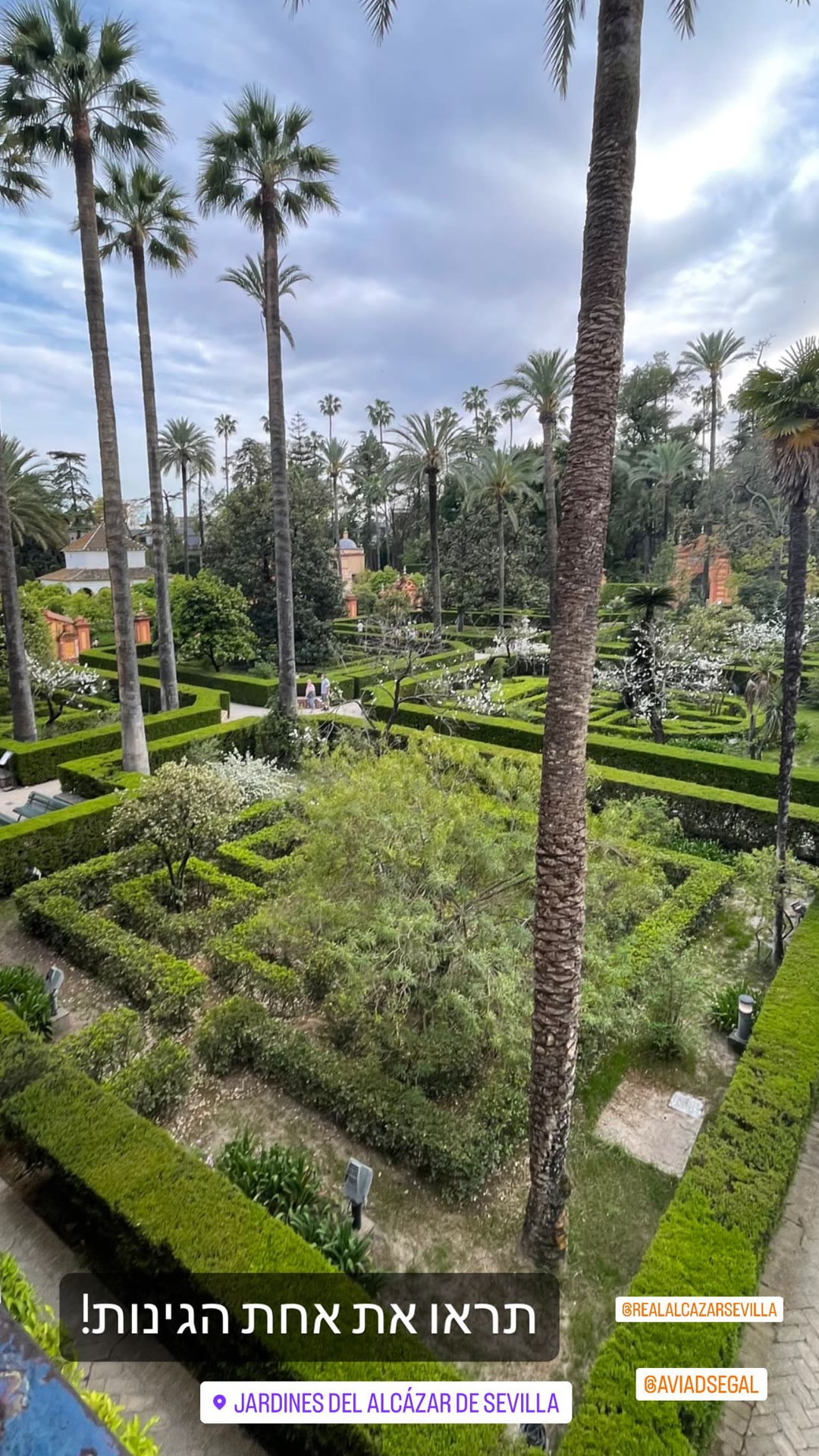 Gardens of the Real Alcázar, Seville