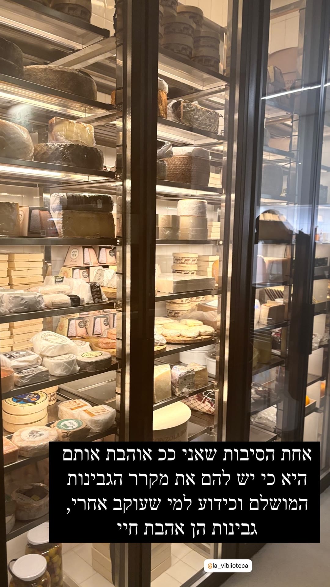 La Viblioteca – מקרר הגבינות בברצלונה