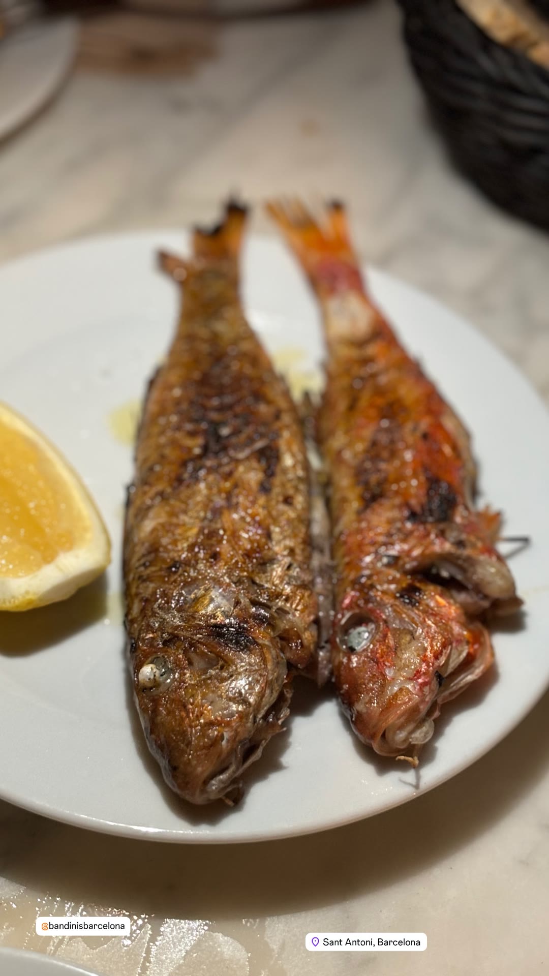 Grilled whole fish at Bandini's, Sant Antoni