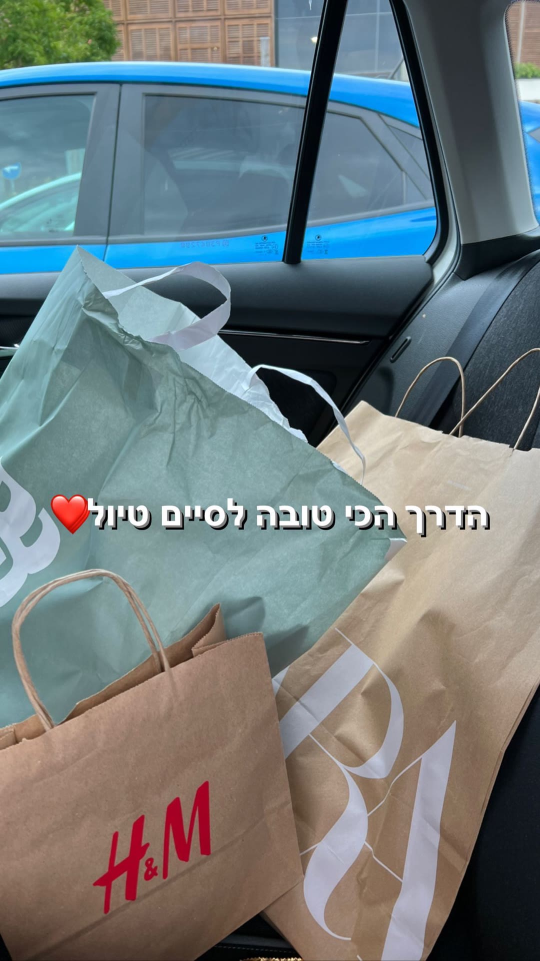 Shopping bags in the car after the trip