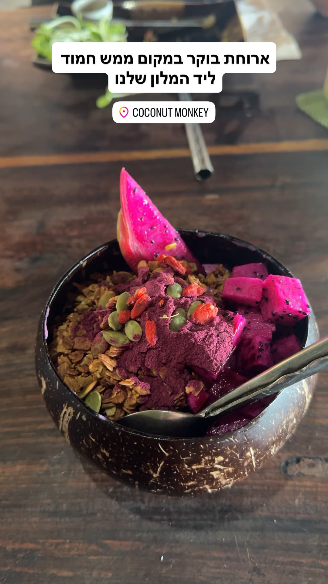Coconut Monkey, Koh Tao – ארוחת בוקר