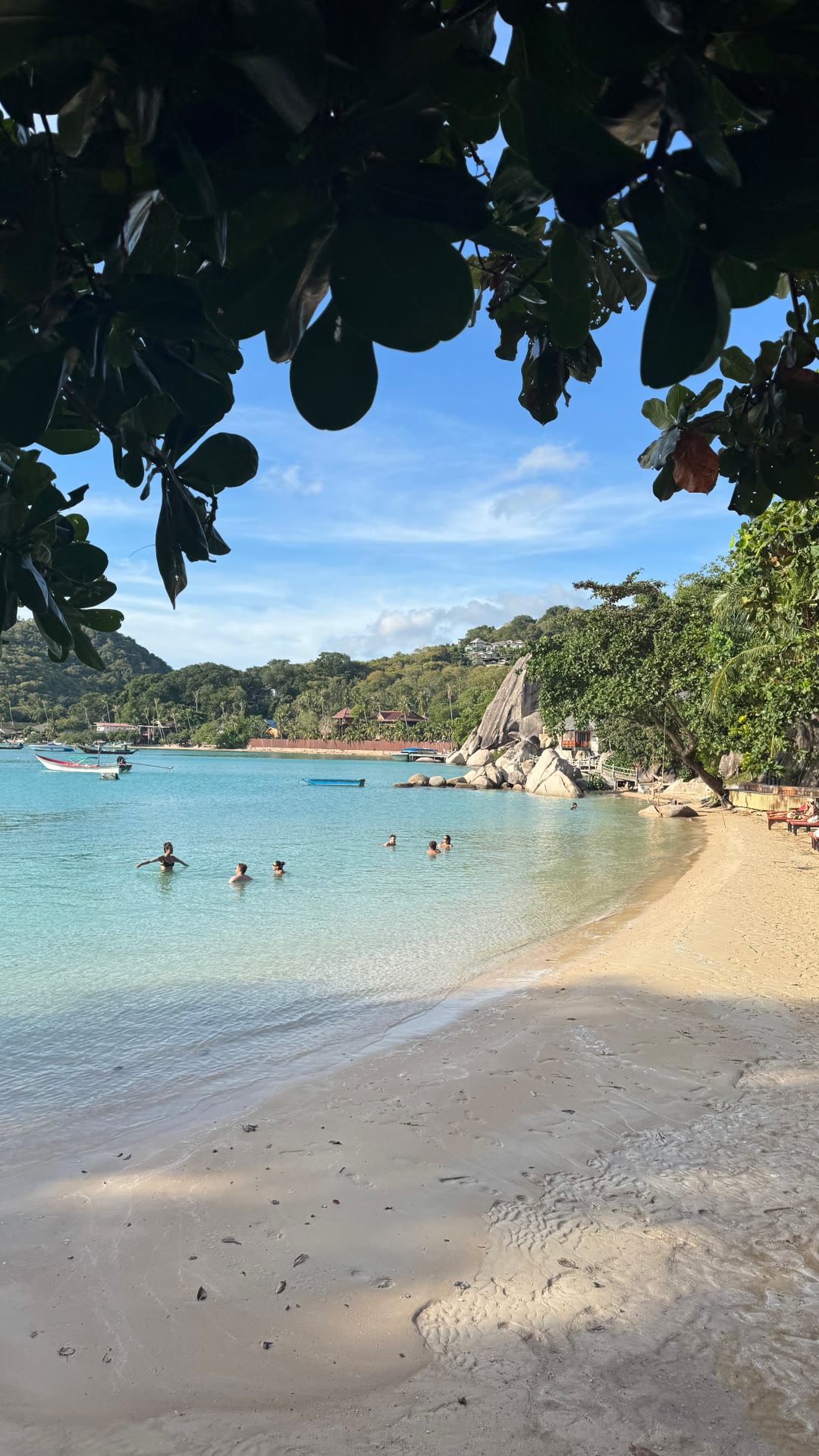 Quiet turquoise beach on Koh Tao