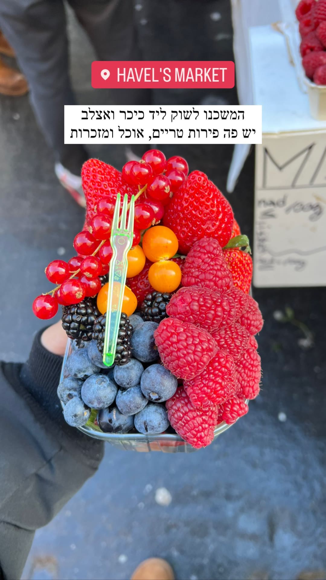 Havel's Market, Prague — fresh berry cups