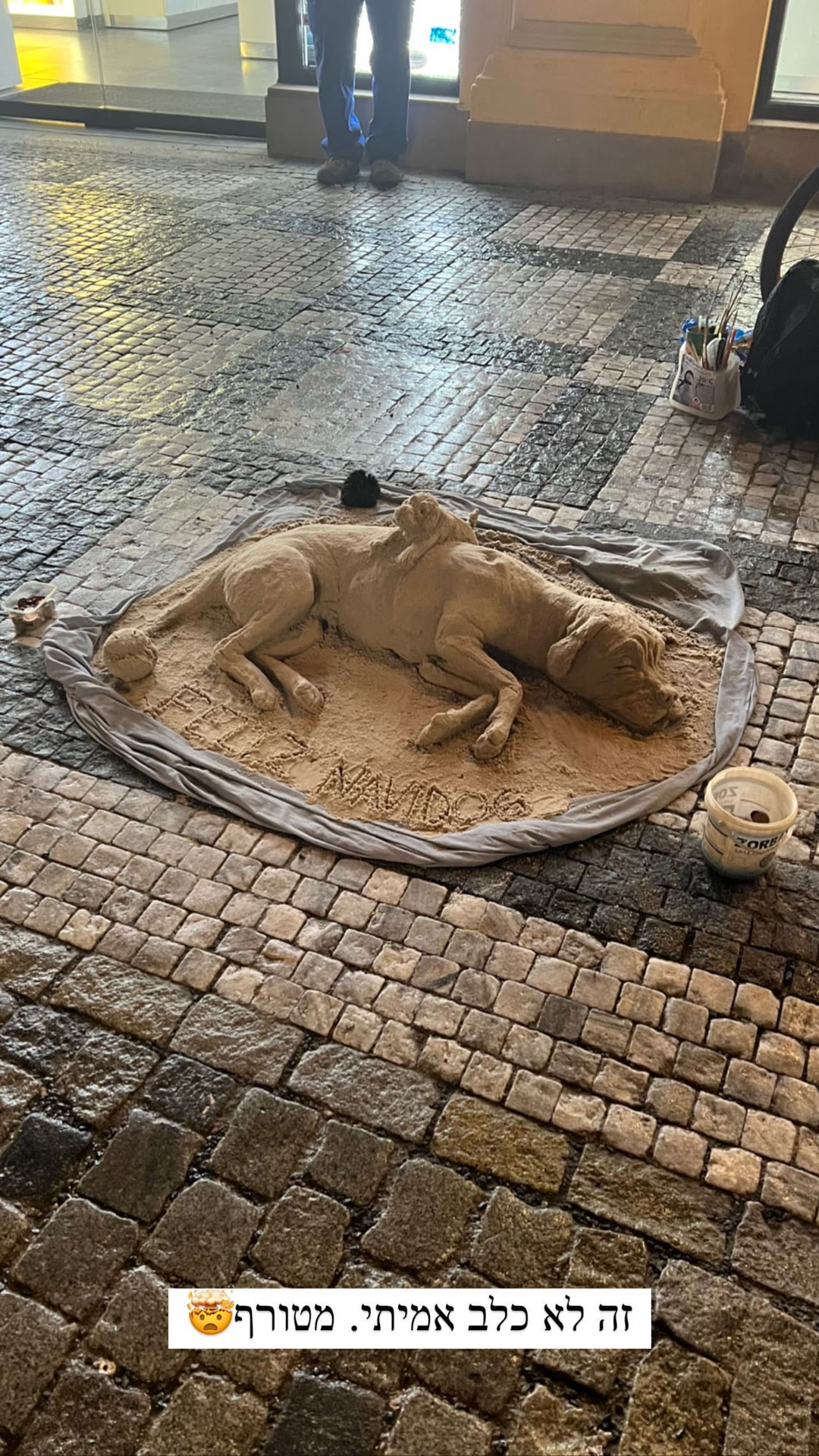 Sand dog street art in Prague