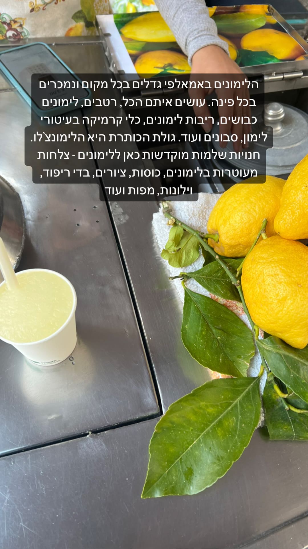 לימונים ולימונ'צלו באמאלפי