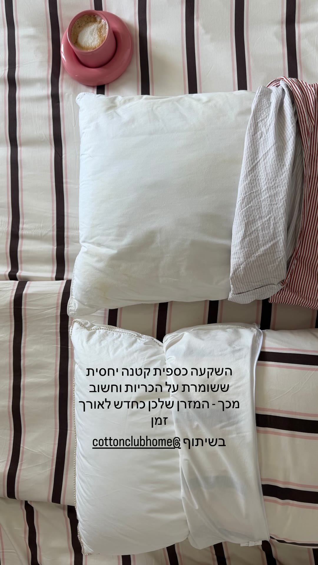 מגני כריות של Cotton Club Home