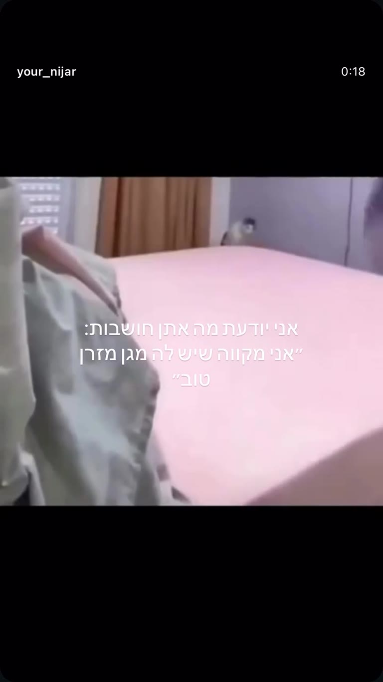 "אני מקווה שיש לה מגן מזרן טוב" - סרטון חתול