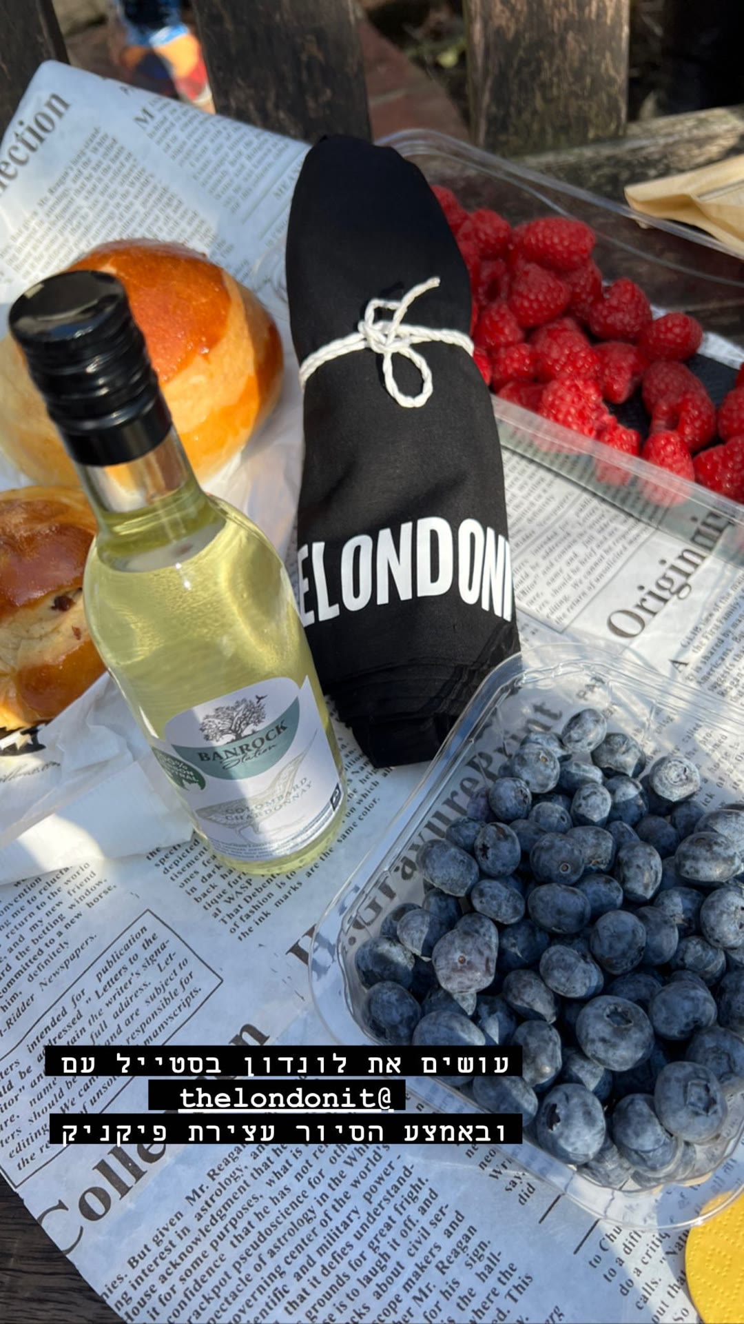 פיקניק באמצע סיור בלונדון עם thelondonit