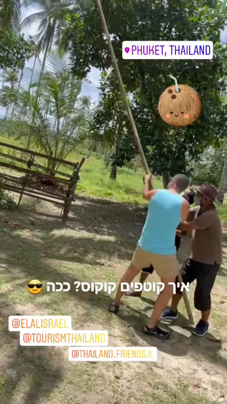 איך קוטפים קוקוס בפוקט