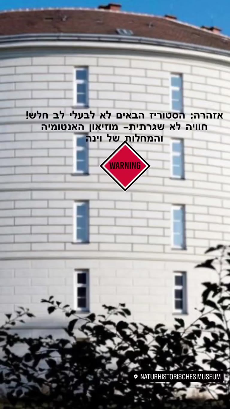 מוזיאון האנטומיה והמחלות של וינה – Narrenturm