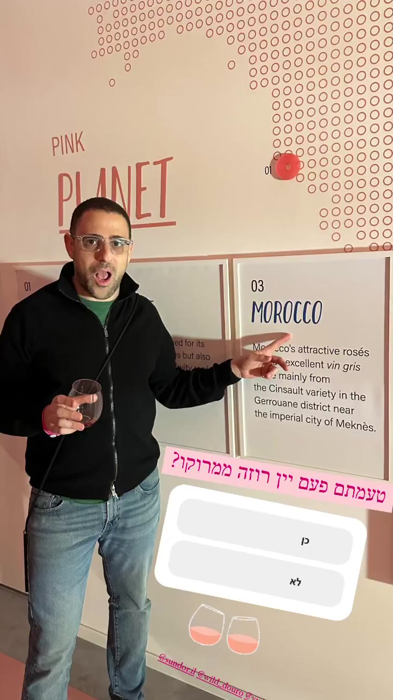 Pink Planet ב-WOW Porto: רוזה ממרוקו