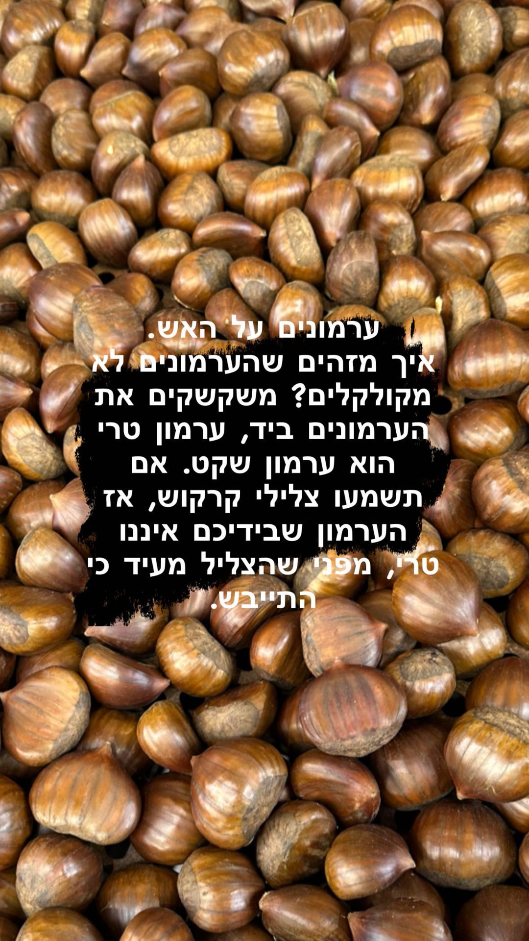 ערמונים על האש בבודפשט – איך בוחרים ערמון טרי