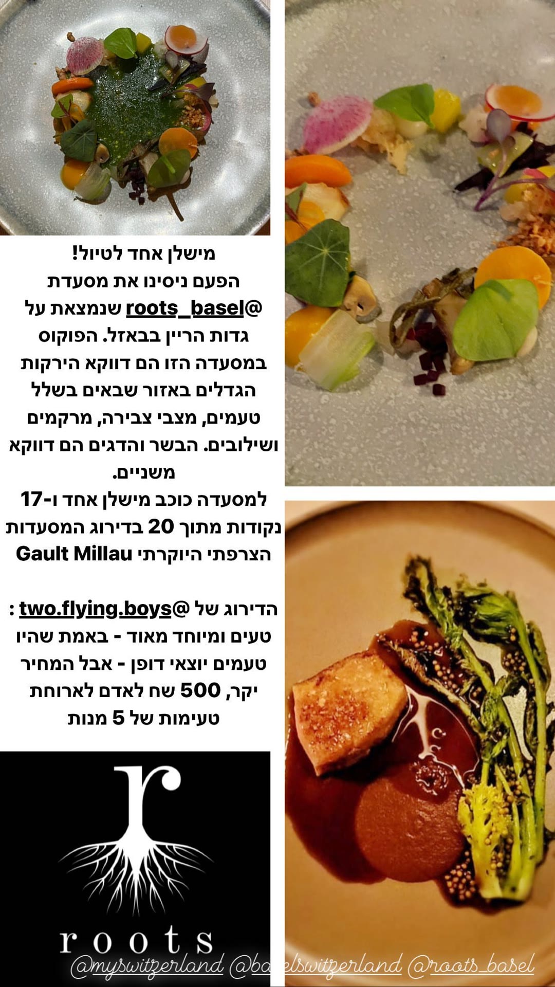 roots בבאזל – מסעדת כוכב מישלן על הריין