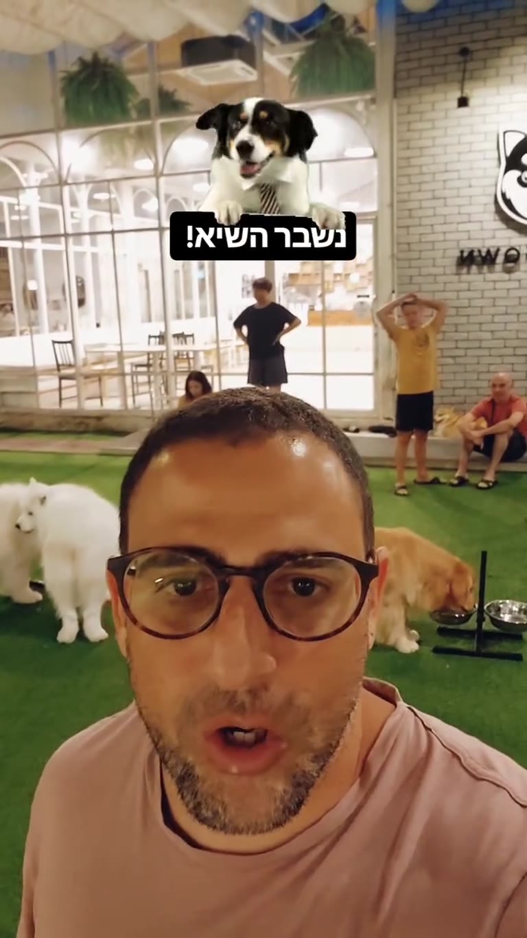 בית קפה כלבים Dog In Town בבנקוק – נשבר השיא!