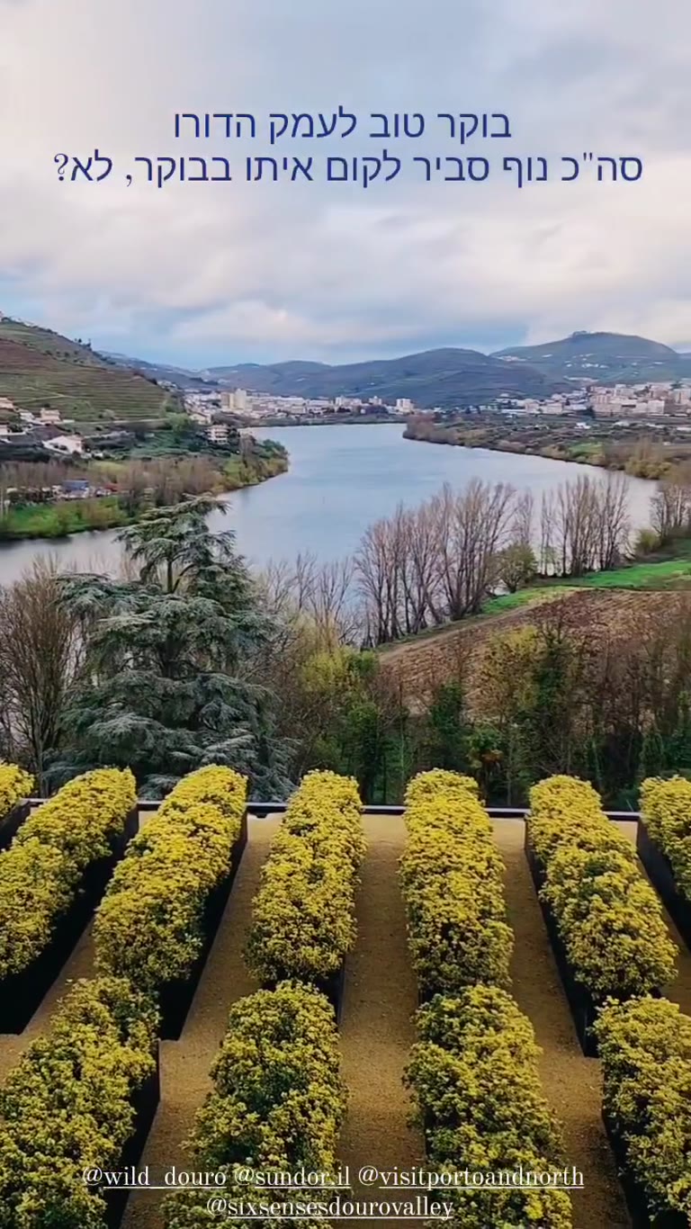 בוקר טוב מ-Six Senses Douro Valley