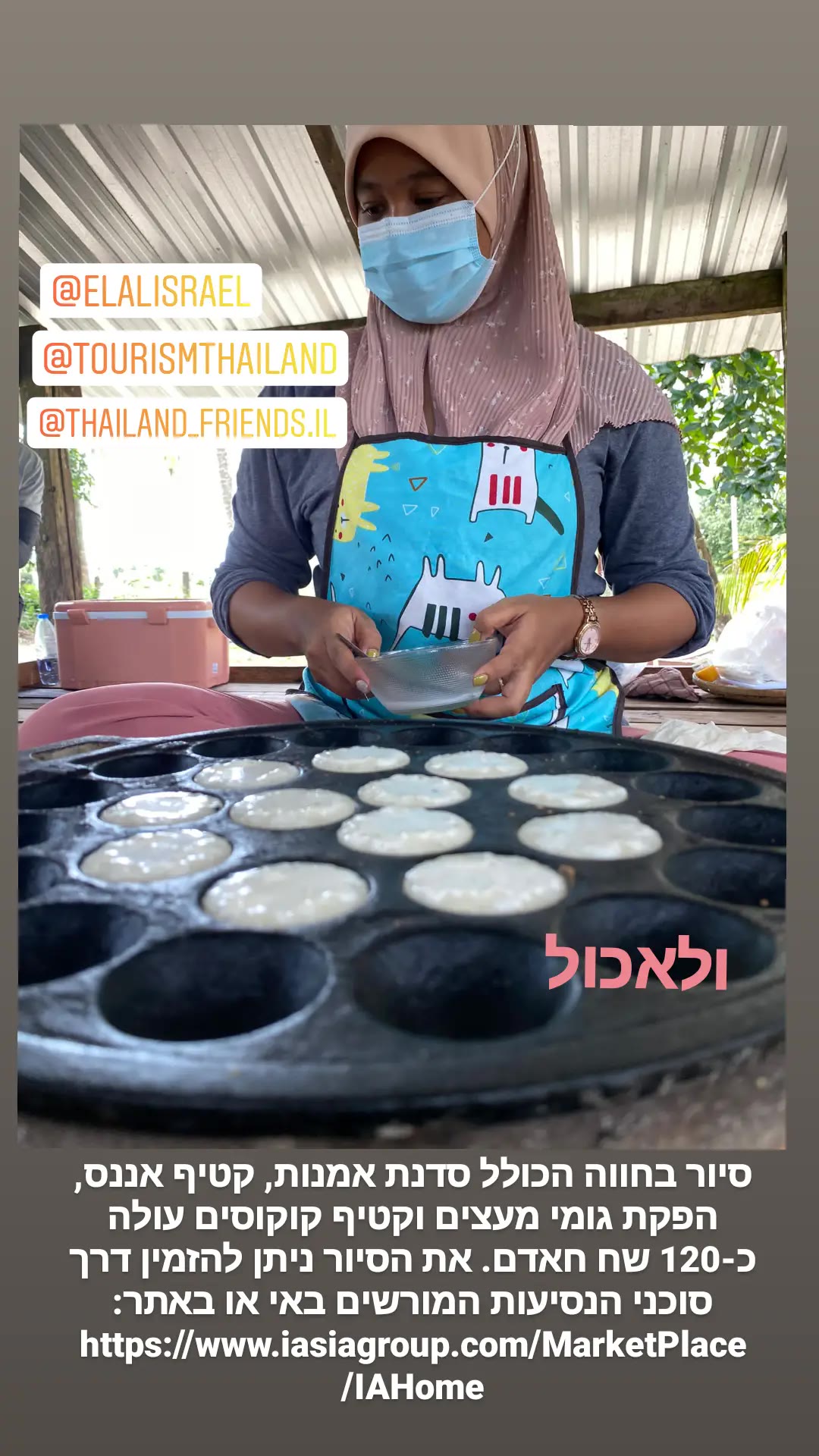 סיור בחווה בפוקט: אננס, קוקוס, גומי ואוכל