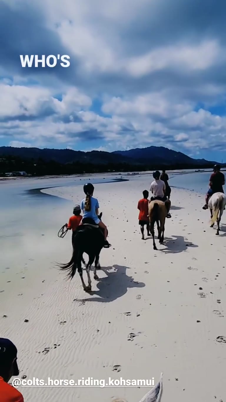 רכיבה על סוסים בחוף בקוסמוי עם Colts Horse Riding