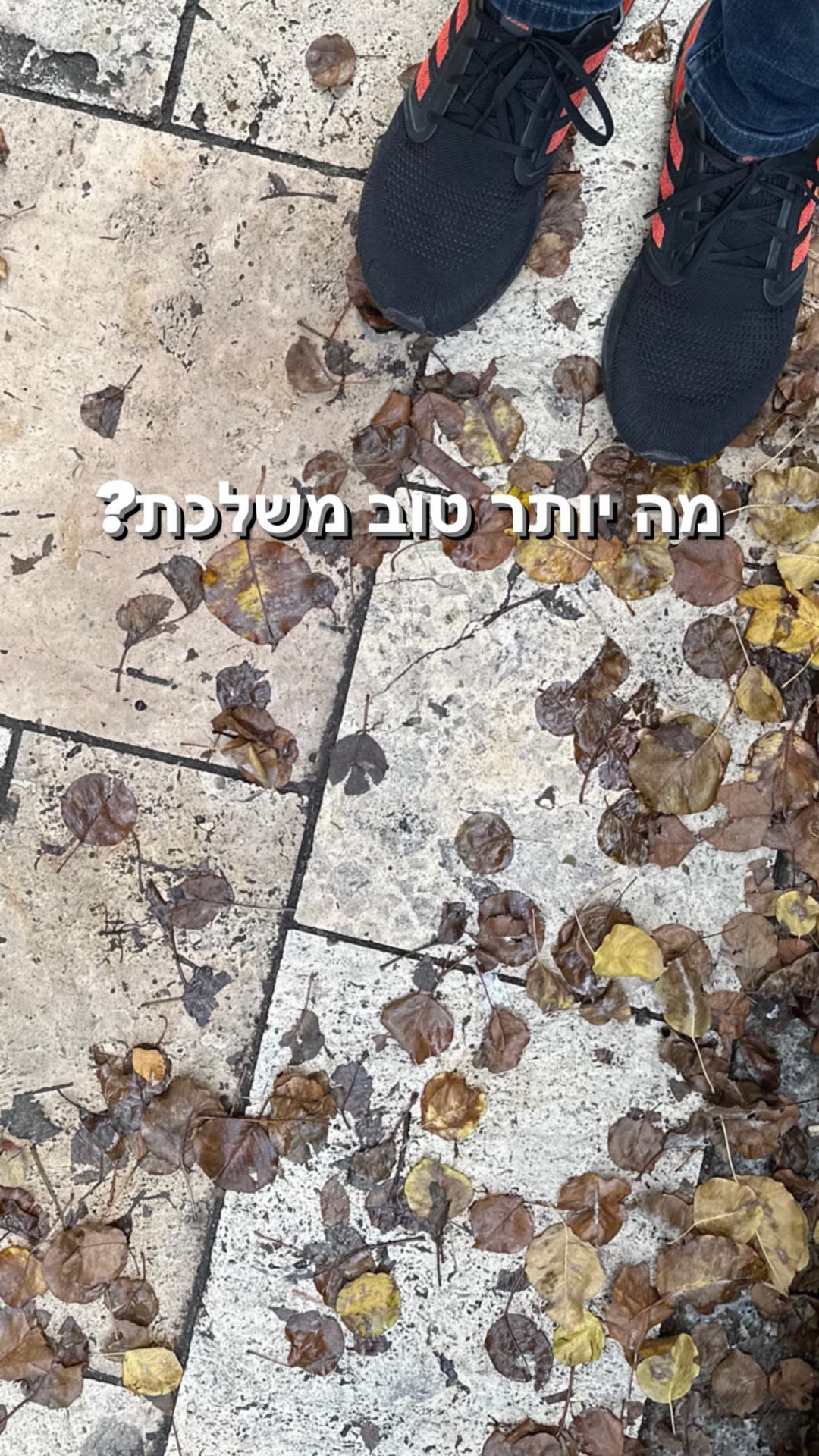 שלכת סתווית בבודפשט