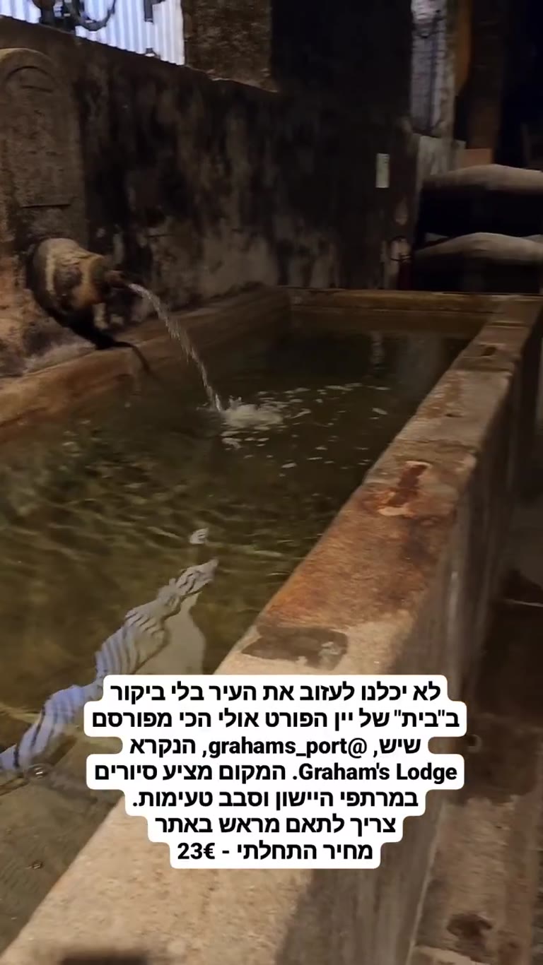 Graham's Lodge – סיור במרתפי יין הפורט בפורטו