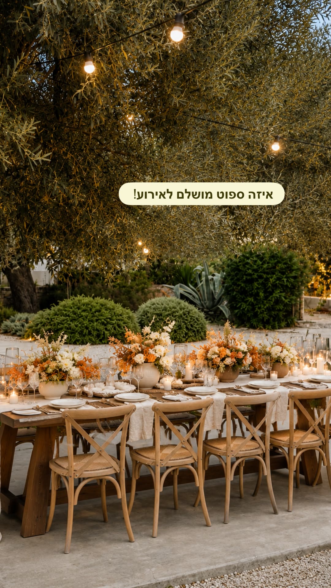 Perfect outdoor event spot on Skopelos