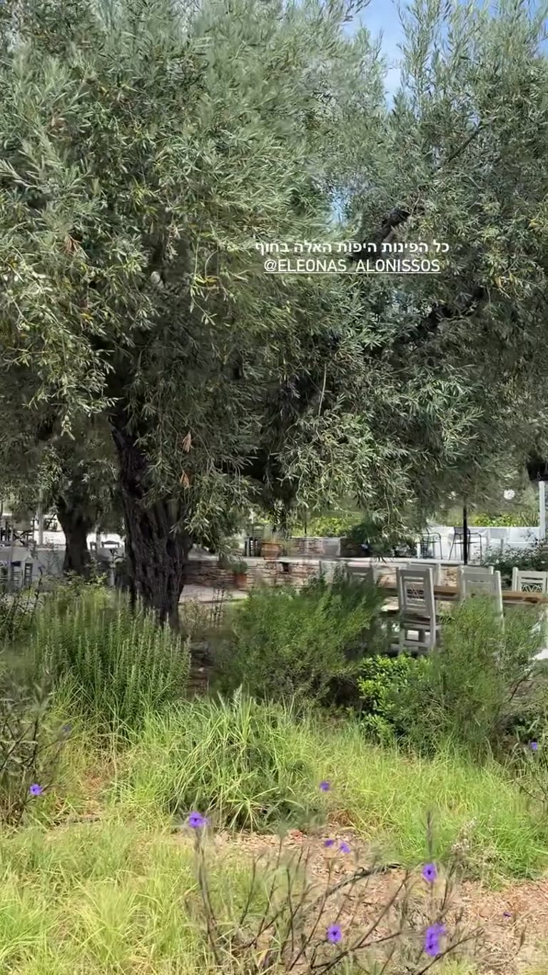 Eleonas Alonissos olive-grove garden