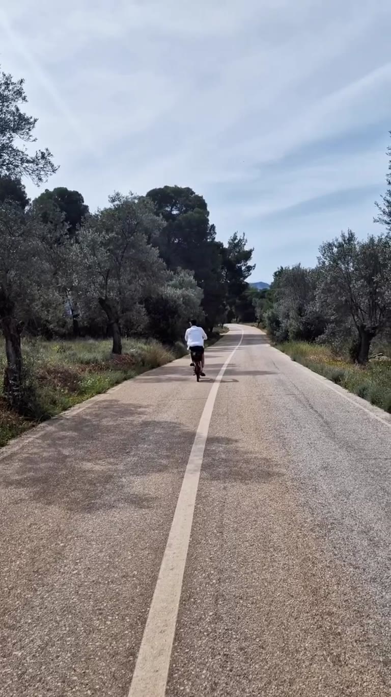 רכיבה בכביש בין עצי זית באגיסטרי