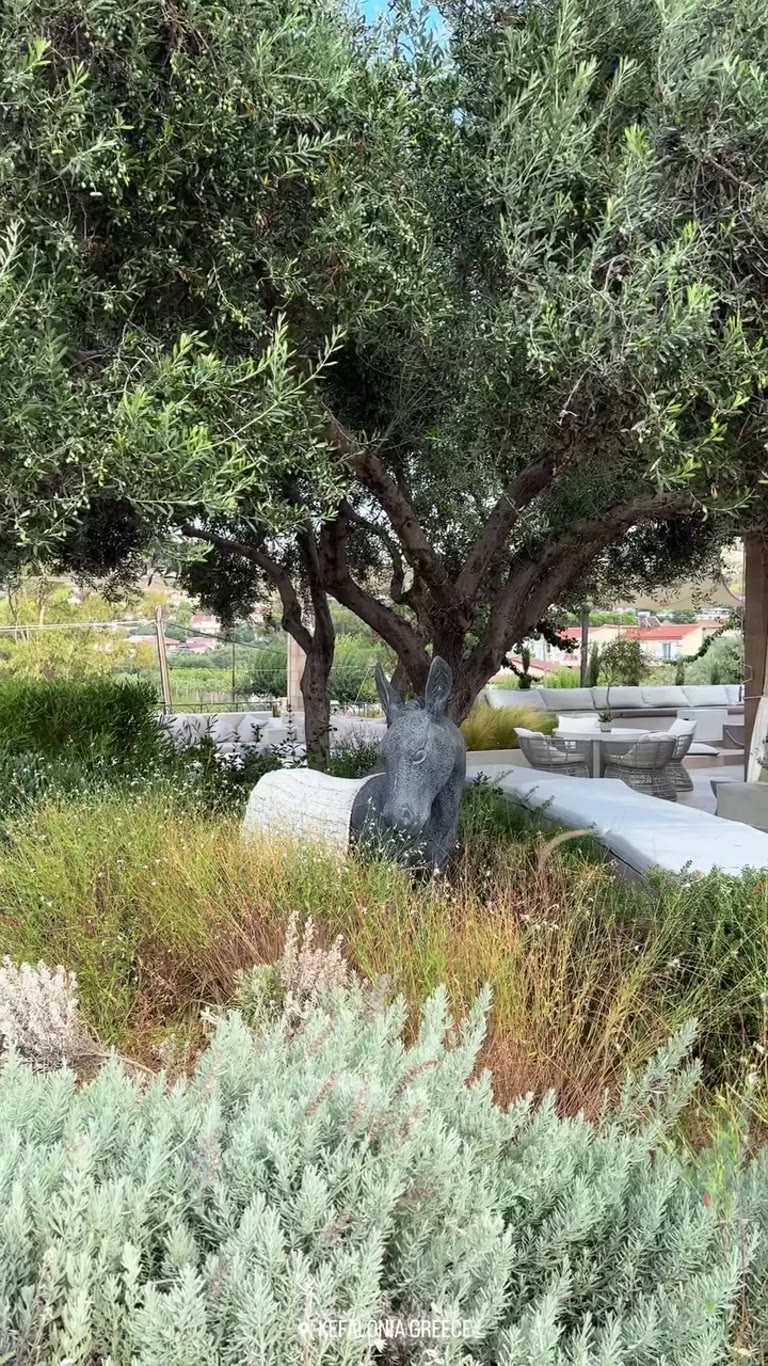 הגינה של Thalassa Hotel בקפלוניה