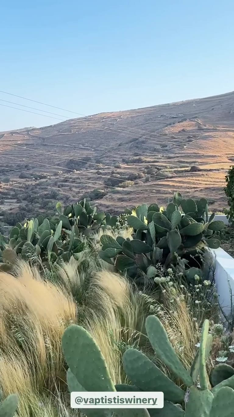 יקב Vaptistis Winery בטינוס בשקיעה