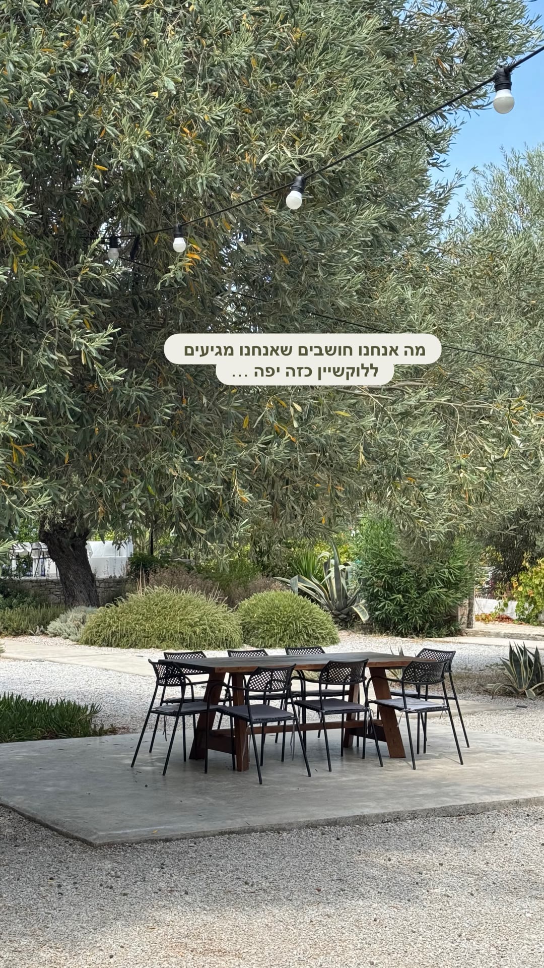 Eleonas Alonissos – olive grove garden