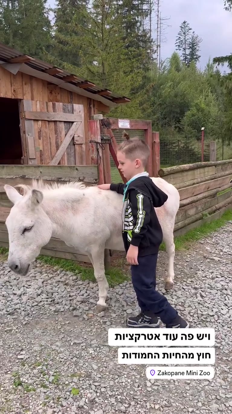 Zakopane Mini Zoo – חיות ומשחקייה לילדים