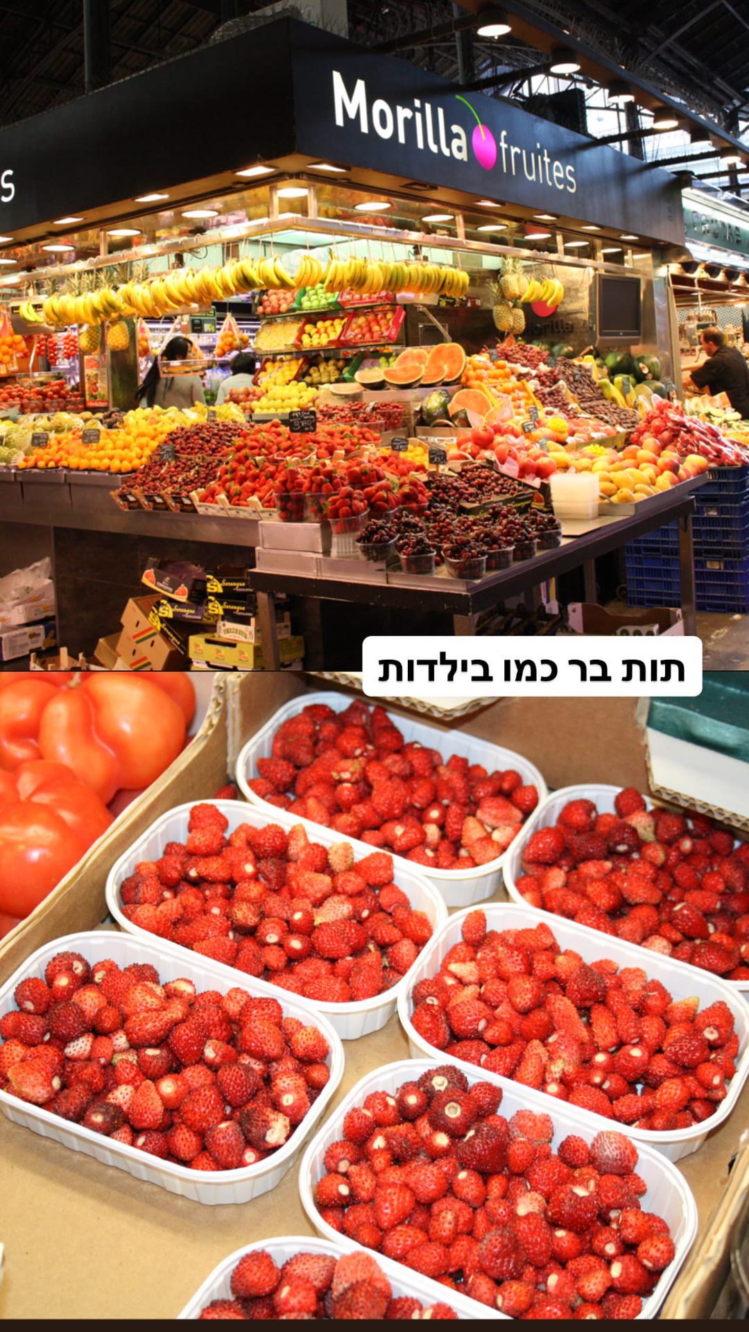 תותי בר בדוכן Morilla Fruites, ברצלונה