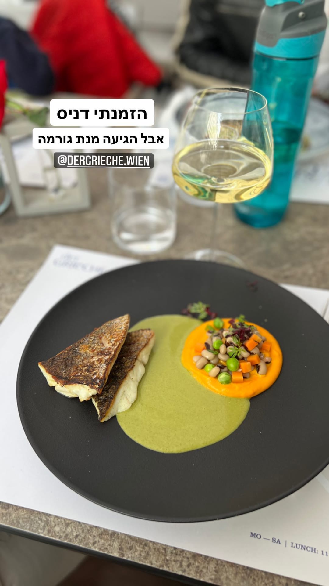 Der Grieche 1060, Vienna — gourmet sea bream