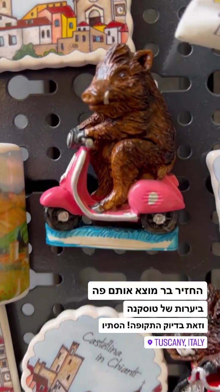 חזיר הבר של טוסקנה בעונת הסתיו
