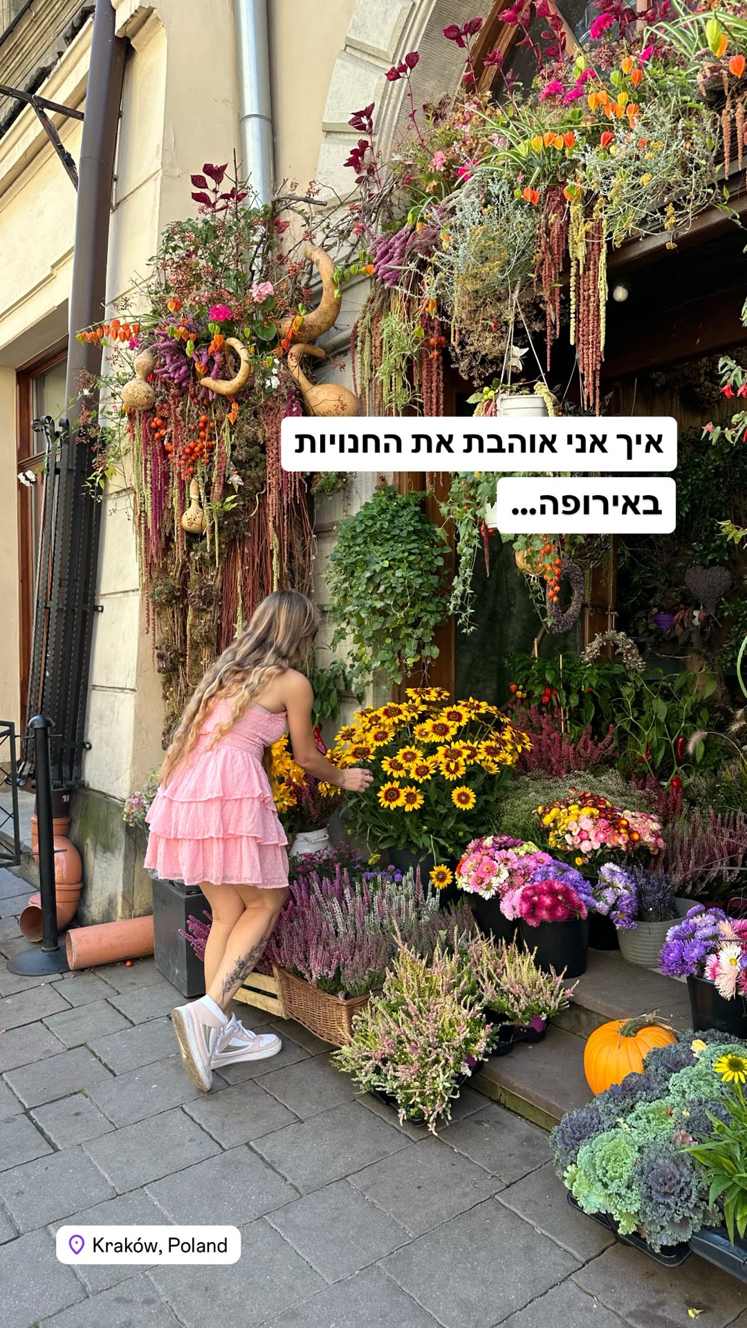 חנות פרחים מקסימה בקרקוב