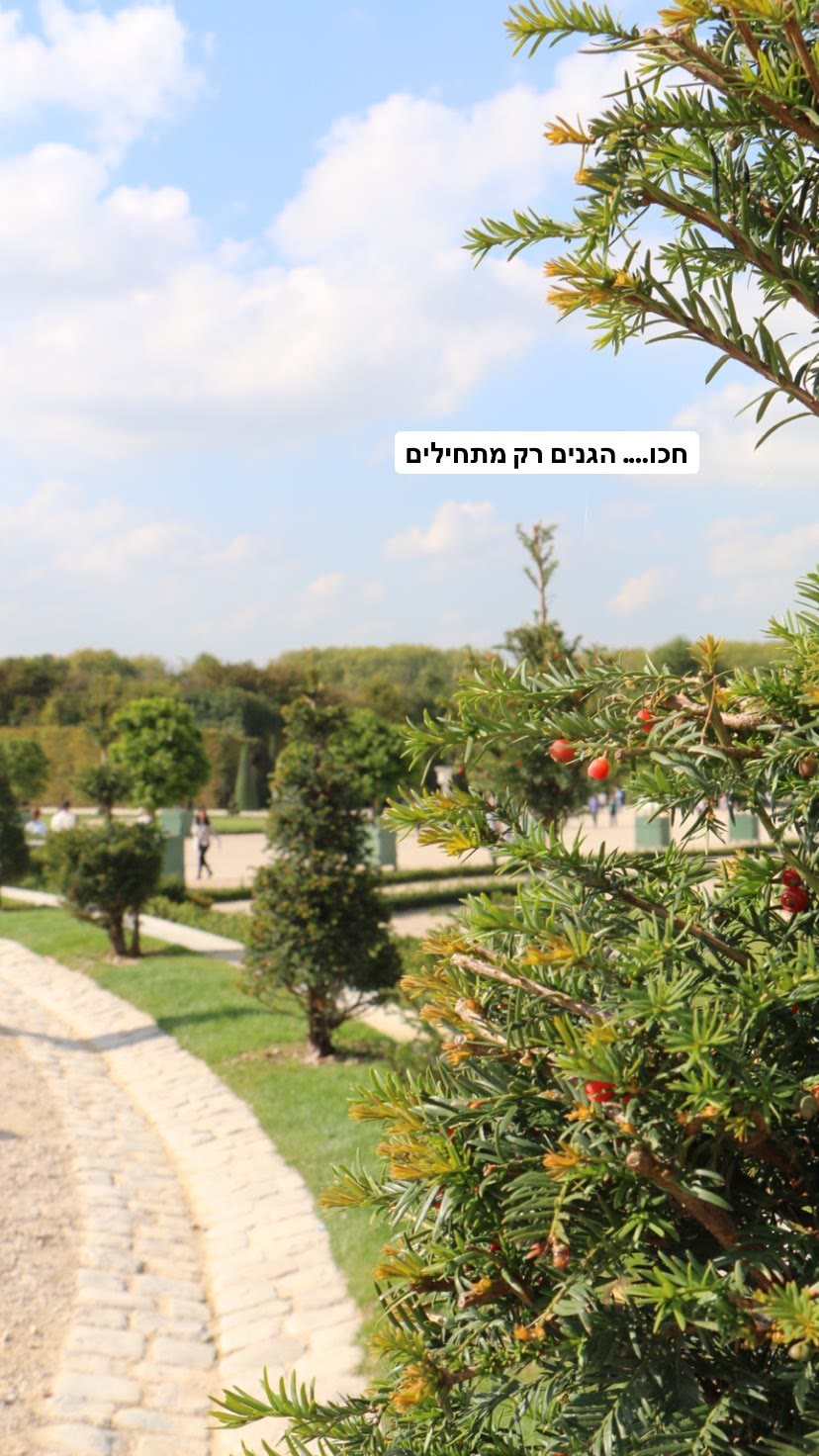גנים מעוצבים בפריז — "הגנים רק מתחילים"