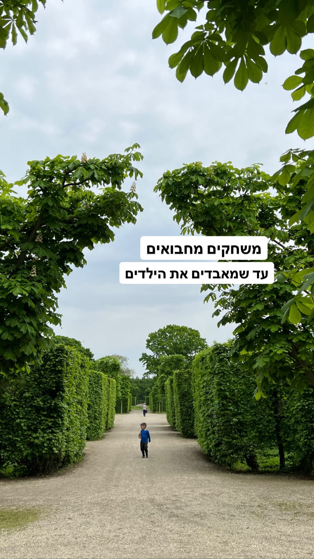 מחבואים בשדרות השיחים של וינה