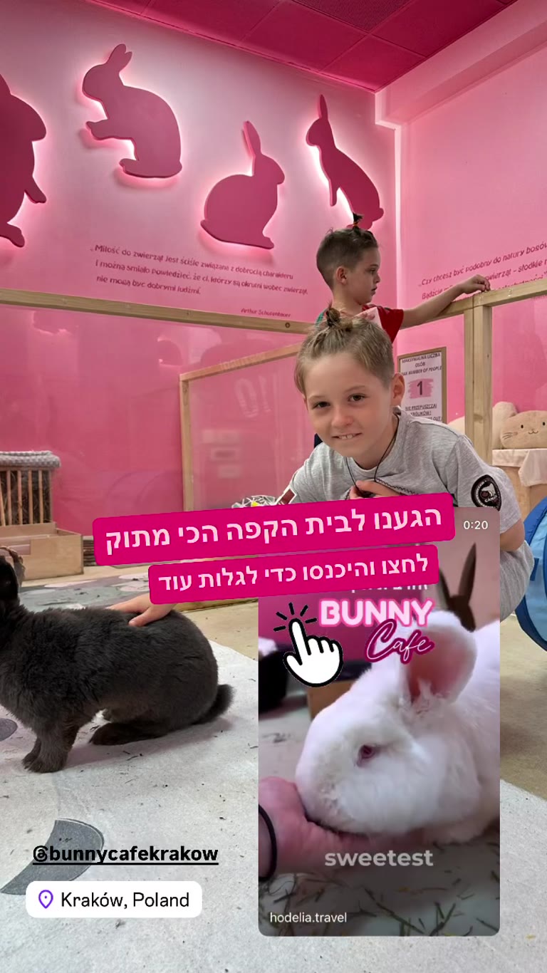 Bunny Cafe Kraków – בית הקפה עם הארנבים