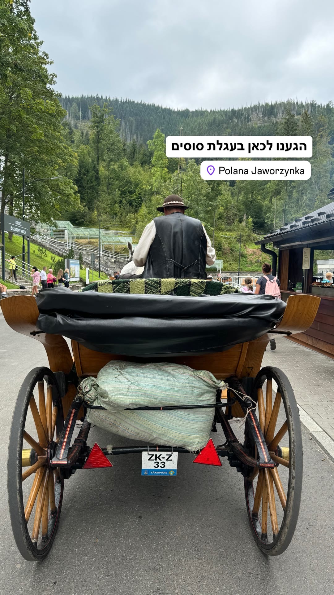 עגלת סוסים לפולנה יאבורז'ינקה, זקופנה