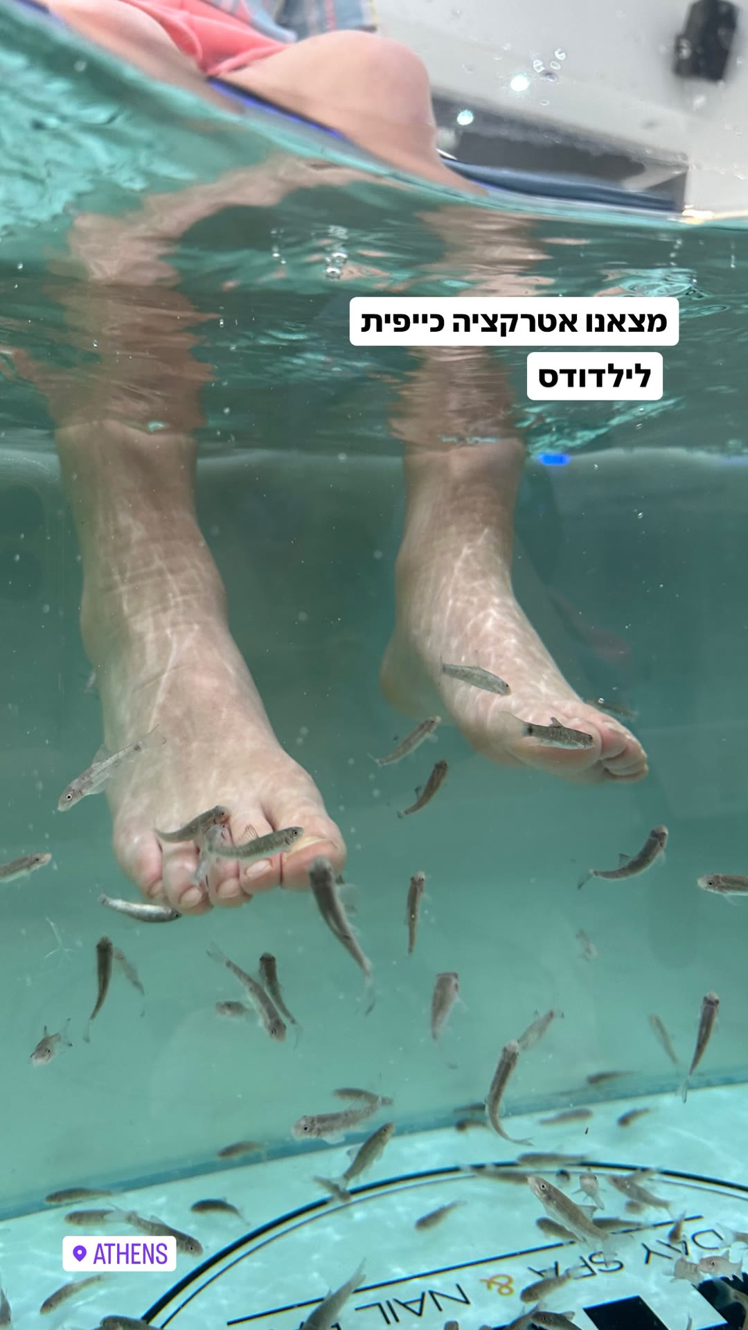 ספא דגים באתונה – אטרקציה כיפית לילדים