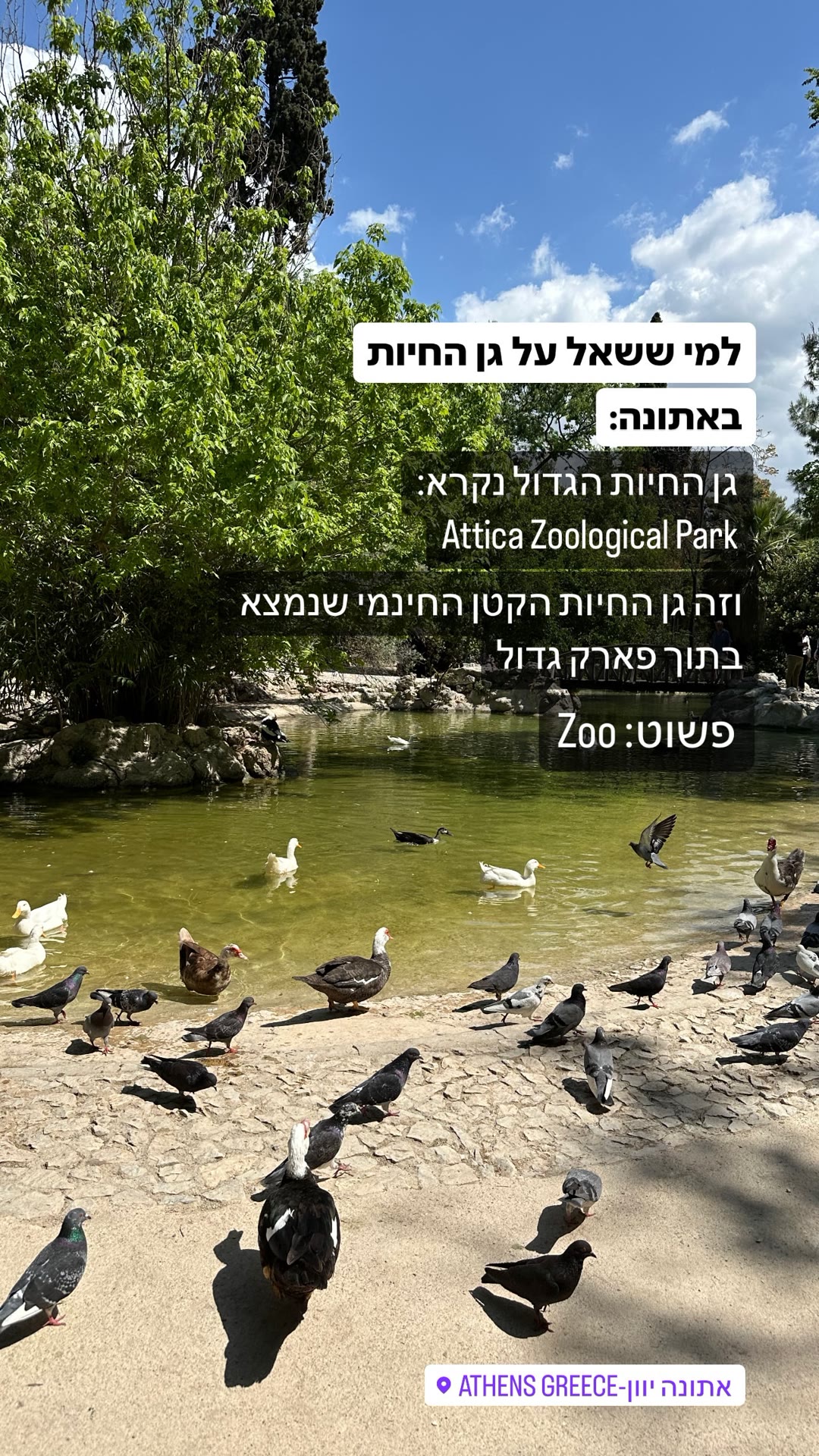 גן החיות באתונה: Attica Zoological Park