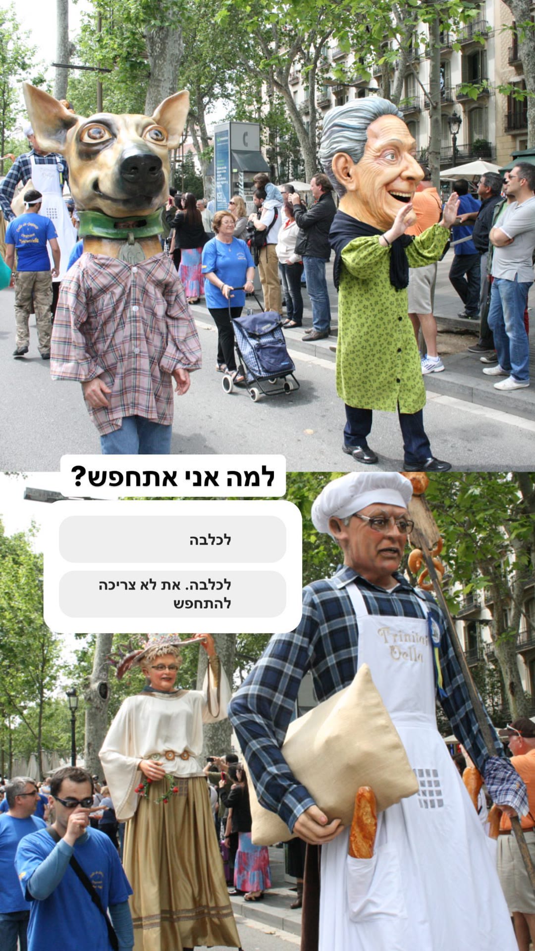 תהלוכת הענקים בברצלונה