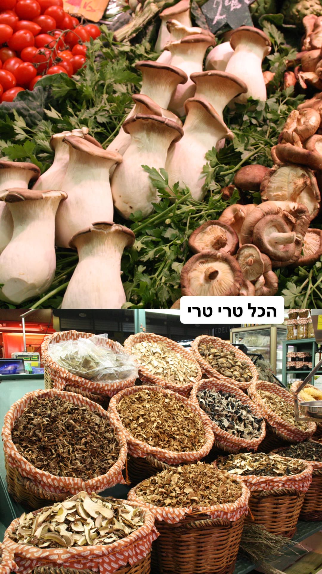 פטריות טריות בשוק בברצלונה