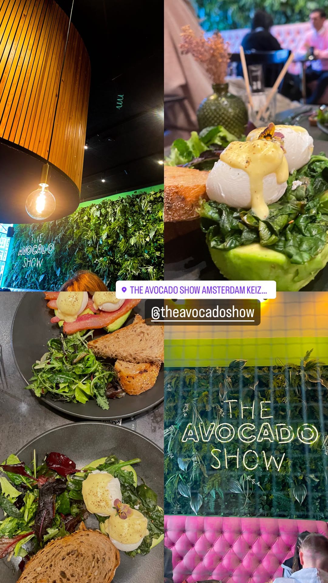 The Avocado Show, Amsterdam