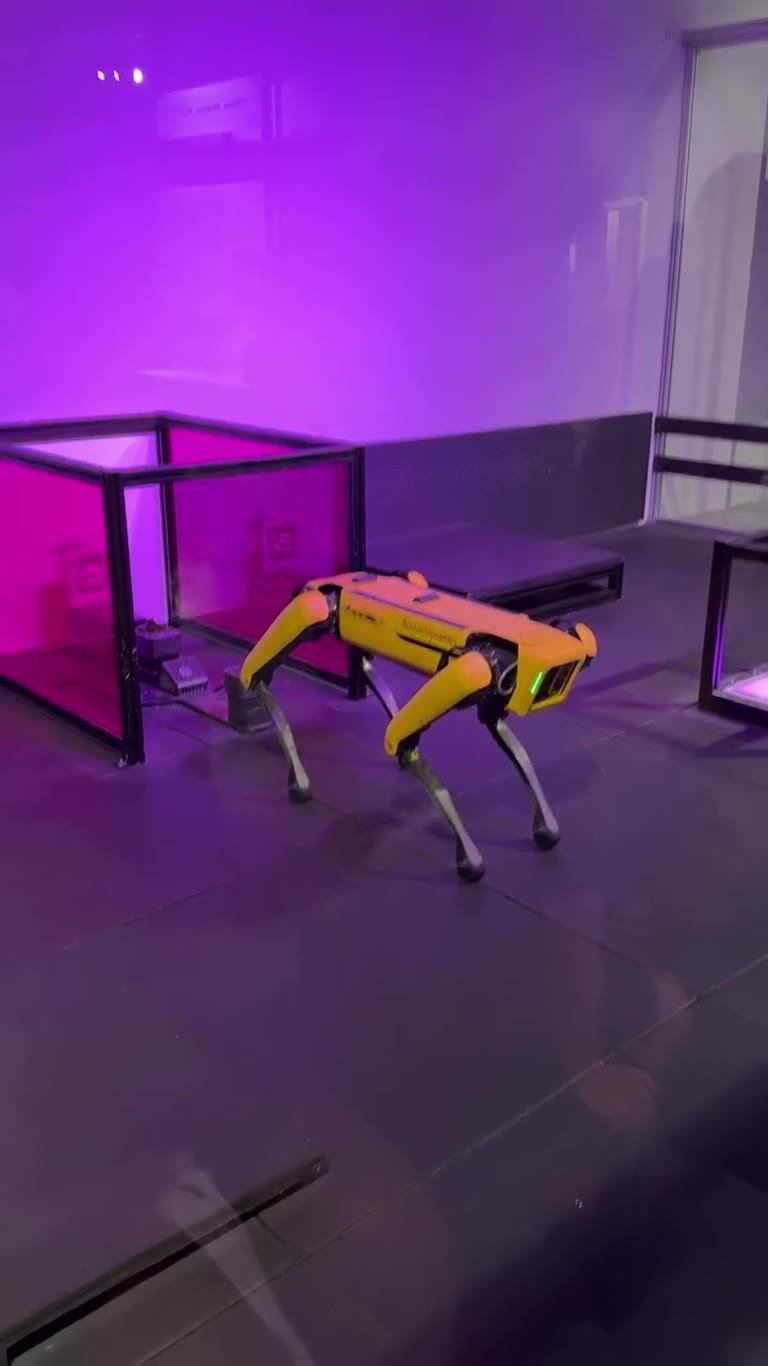Boston Dynamics robot dog at a Warsaw science exhibit