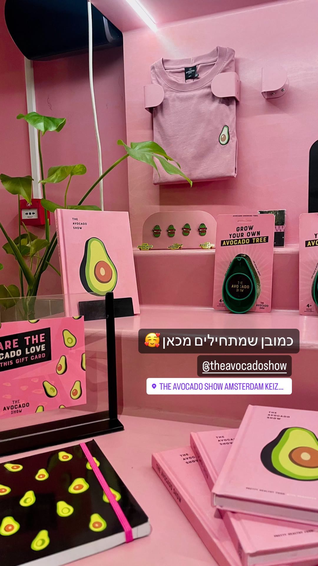 The Avocado Show, Keizersgracht Amsterdam