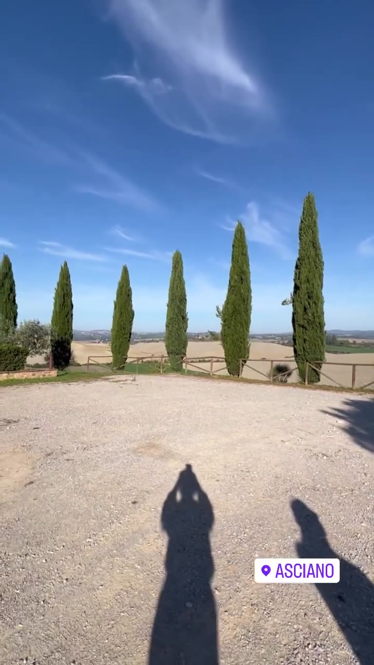 Cypress-lined countryside in Asciano, Tuscany