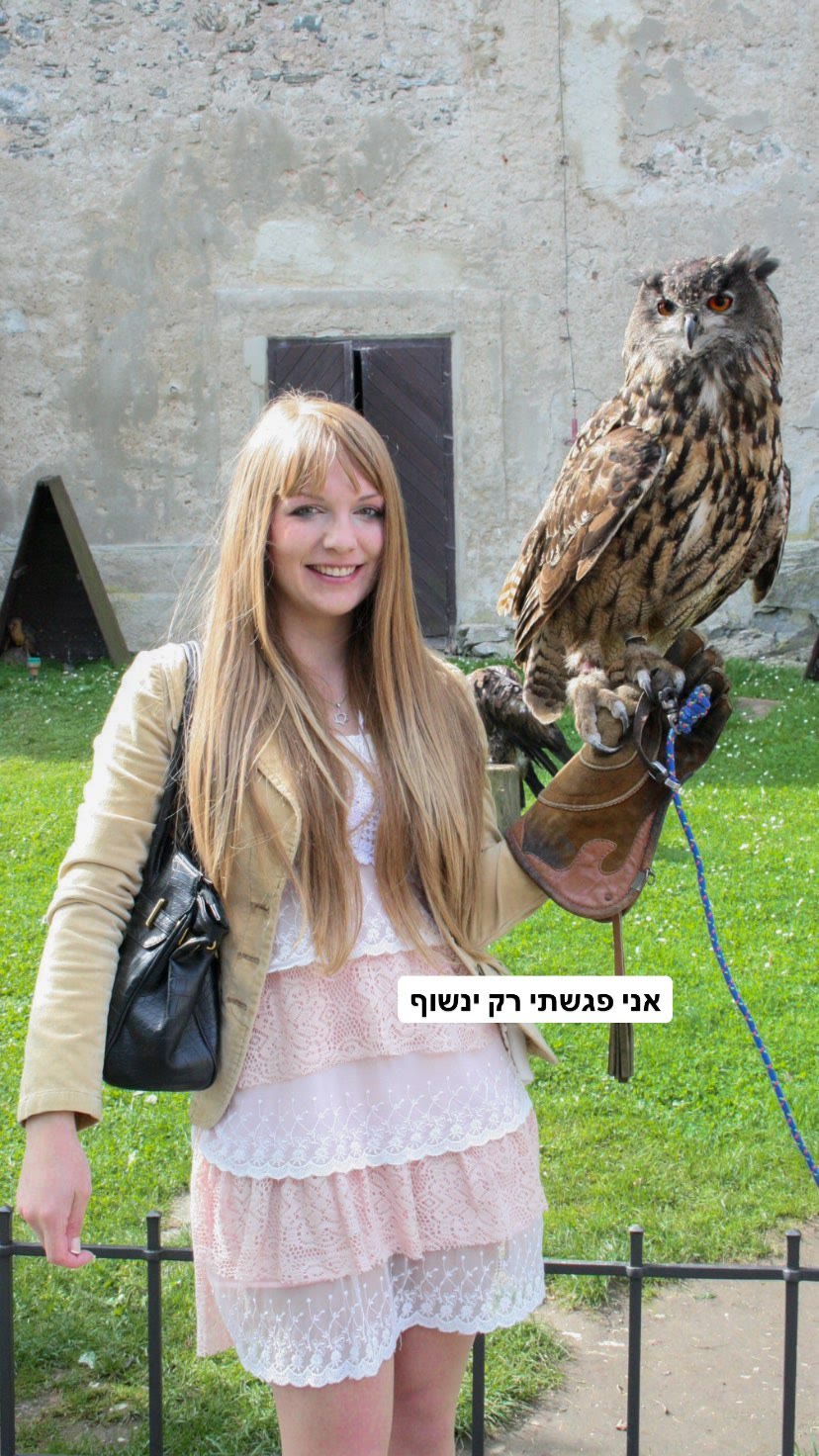 פגישה עם ינשוף בטירה בצ'כיה
